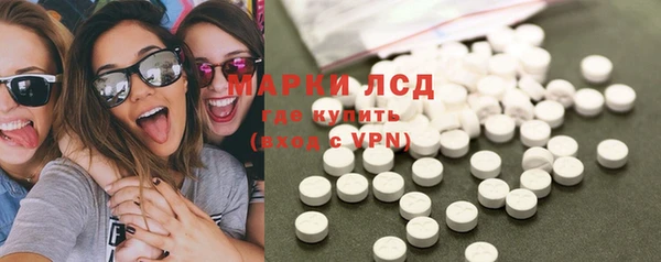 индика Нягань