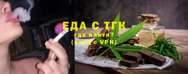 индика Нягань