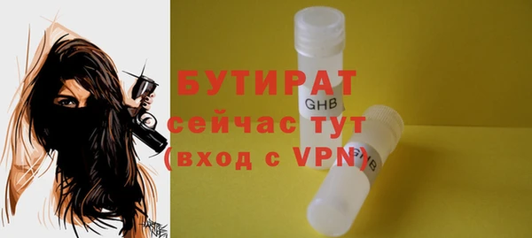 индика Нягань