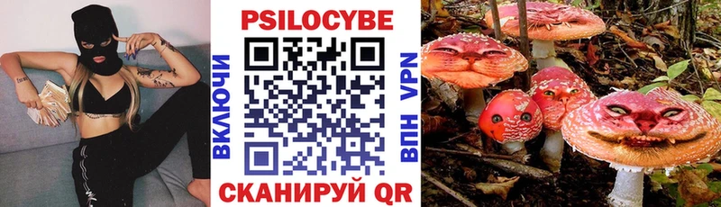 купить наркотики цена  Урус-Мартан  Галлюциногенные грибы MAGIC MUSHROOMS 
